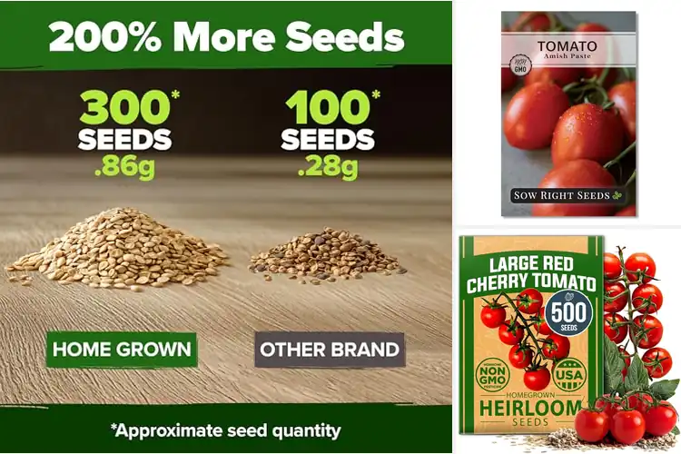 Detailed view of Best High-Yield Tomato Seeds for a Bountiful Garden Harvest