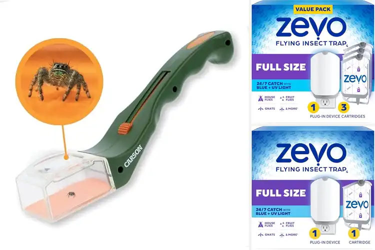 Detailed view of Best Home Bug Catchers: Top 10 Picks for a Pest-Free Home