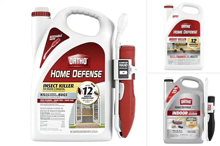 Detailed view of Best Home Defense Insect Killers