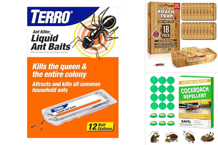 Detailed view of Best Home Pest Baits for Safe, Powerful Pest Control