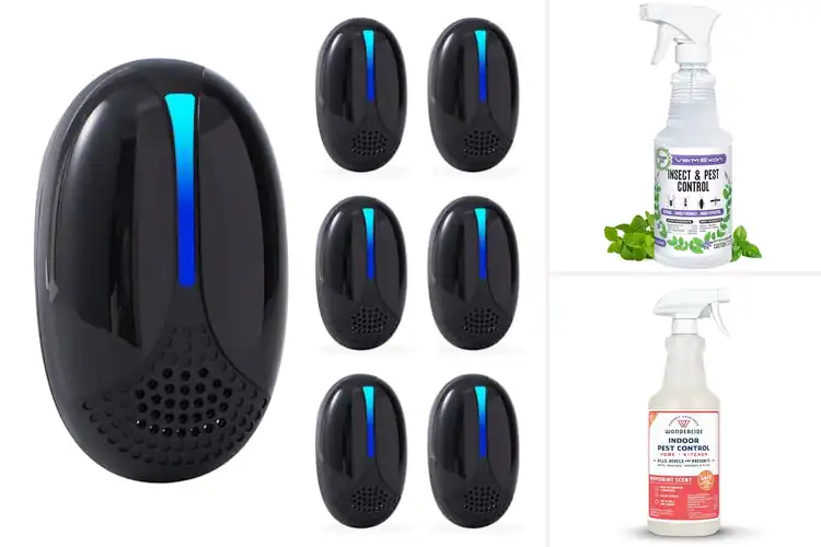 Detailed view of Best Home Pest Control Products