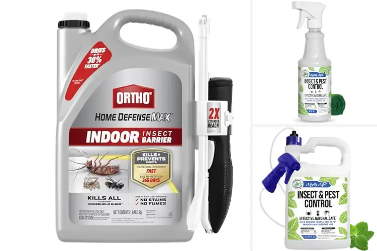 Detailed view of Best Home Pest Control Sprays