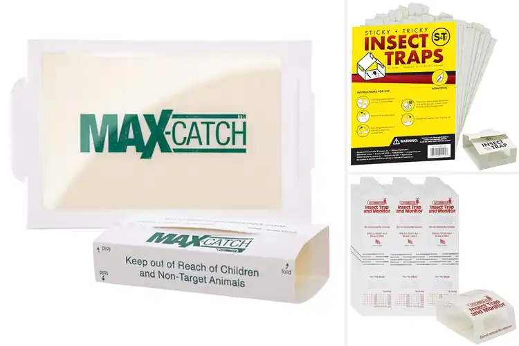Detailed view of Best Home Pest Traps: Top Picks for a Pest-Free, Clean Home
