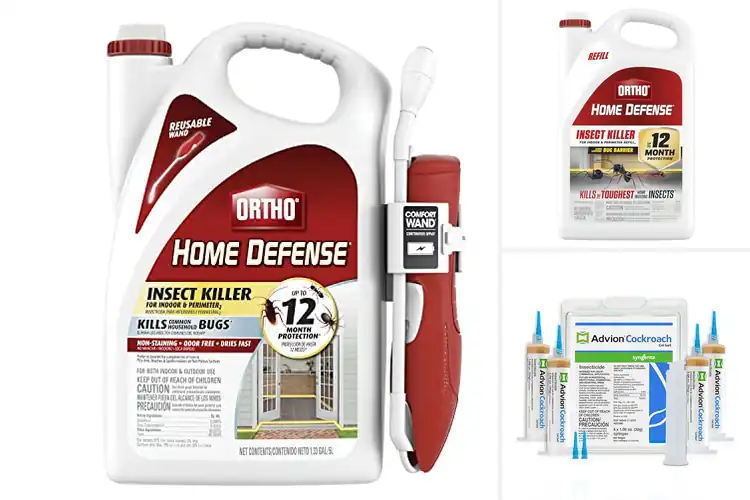 Detailed view of Best Home Roach Control Solutions