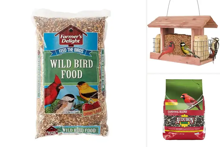 Detailed view of Best Hopper Feeder Bird Foods: Attract a Joyful Flock