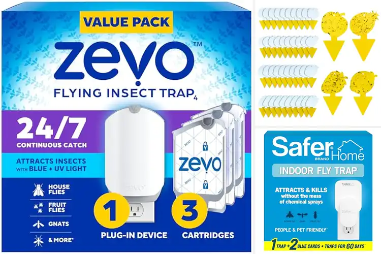 Detailed view of Best House Fly Traps Gnat Catcher: Top 10 Bug-Free Solutions