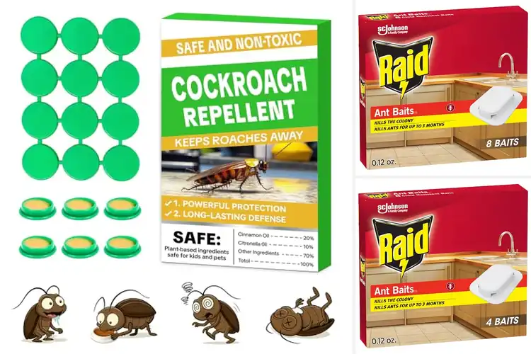 Detailed view of Best Household Pest Baits: 10 Wins for Pest‑Free Living