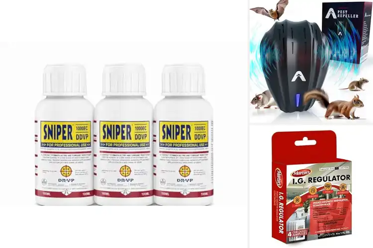 Detailed view of Best Household Pest Solutions