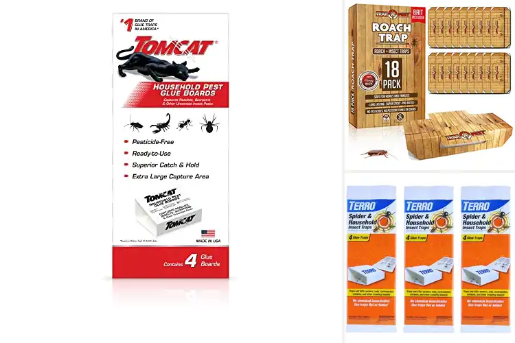 Detailed view of Best Household Pest Traps: Top Picks for a Pest-Free Home