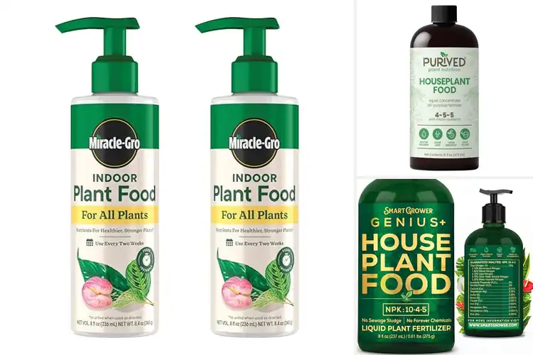 Detailed view of Best Houseplant Fertilizers