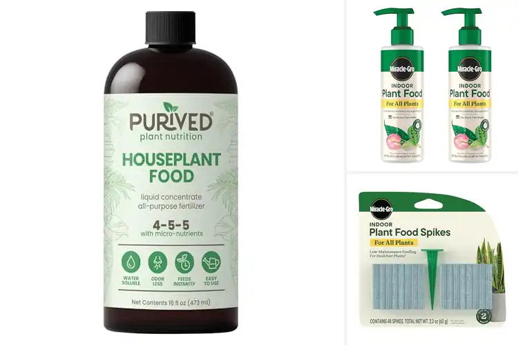 Detailed view of Best Houseplant Foods: Top Picks for Healthy, Vibrant Plants