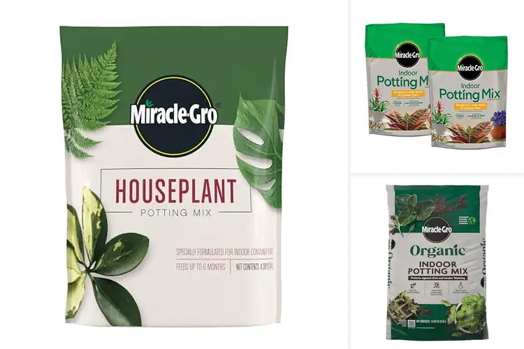 Detailed view of Best Houseplant Potting Soils