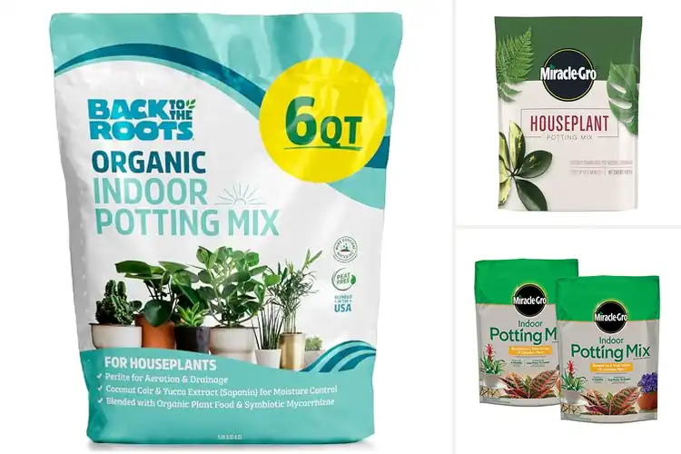 Detailed view of Best Houseplant Soils : Thrive Indoors