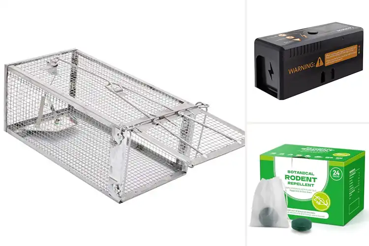 Detailed view of Best Humane Rodent Elimination: Top 10 Stress-Free Solutions