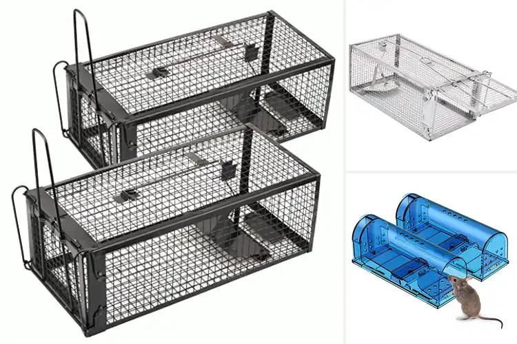 Detailed view of Best Humane Rodent Traps