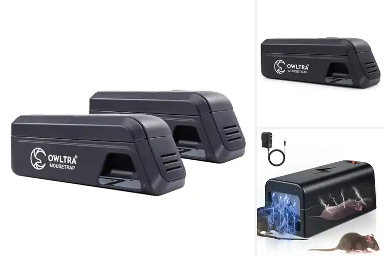 Detailed view of Best Humane Rodent Zappers: Top 10 Safe & Clean Picks