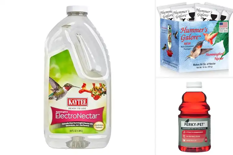Detailed view of Best Hummingbird Bird Foods