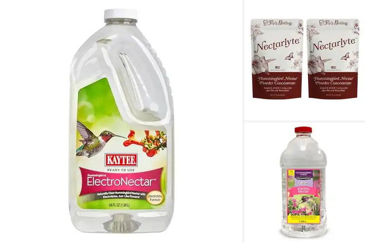 Detailed view of Best Hummingbird Electrolyte Nectars