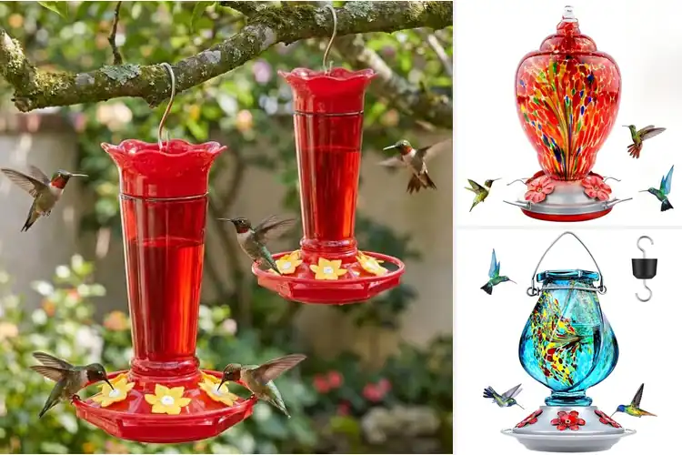 Detailed view of Best Hummingbird Feeders: Top 10 Picks for a Vibrant Garden