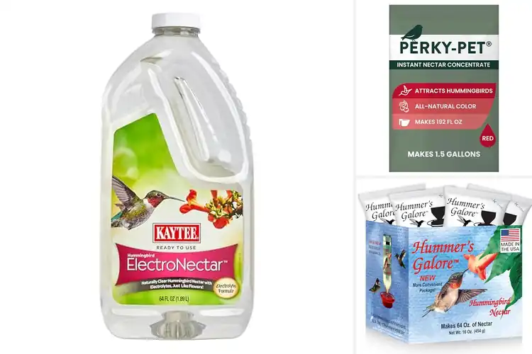 Detailed view of Best Hummingbird Foods: Top Picks for a Vibrant Garden Haven