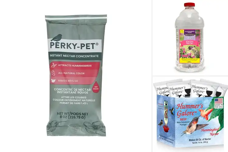 Detailed view of Best Hummingbird Nectar Refills