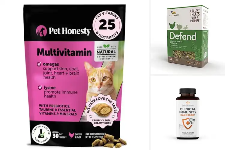 Detailed view of Best Immune Boosting Treat