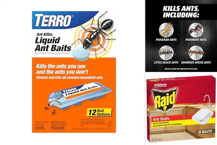 Detailed view of Best Indoor Ant Baits