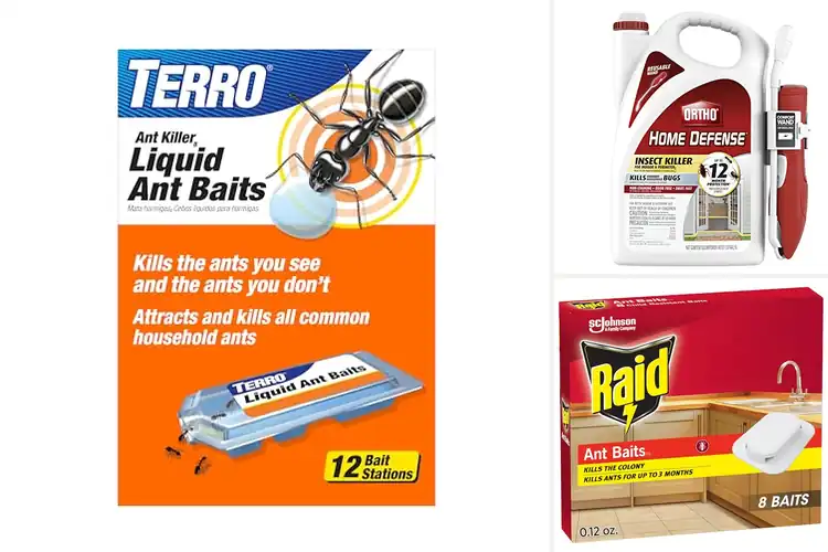 Detailed view of Best Indoor Ant Killer: Top Solutions for a Pest-Free Home