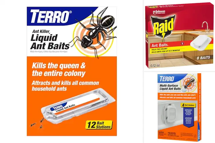 Detailed view of Best Indoor Ant Killers For Kitchens