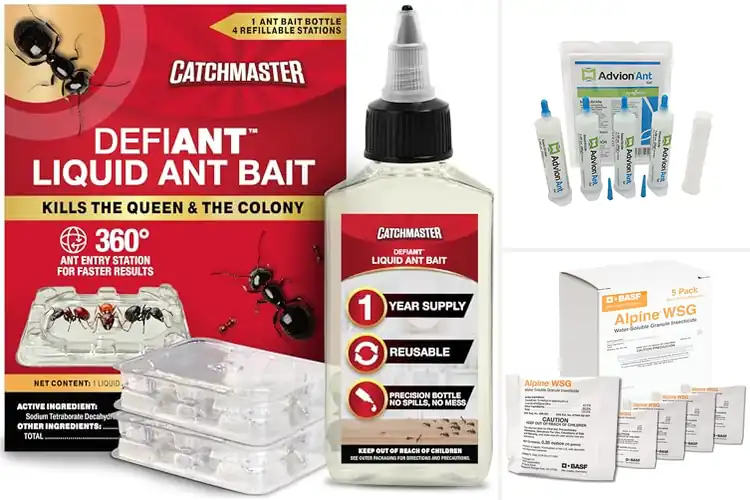 Detailed view of Best Indoor Ant Killers: Banish Ants Fast
