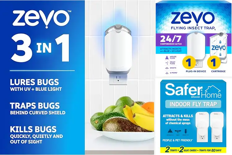 Detailed view of Best Indoor Bug Traps