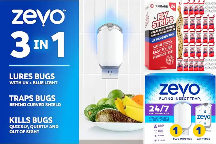 Detailed view of Best Indoor Fly Traps