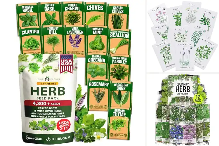 Detailed view of Best Indoor Gardening Seeds