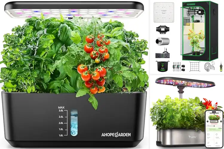 Detailed view of Best Indoor Grow Kits