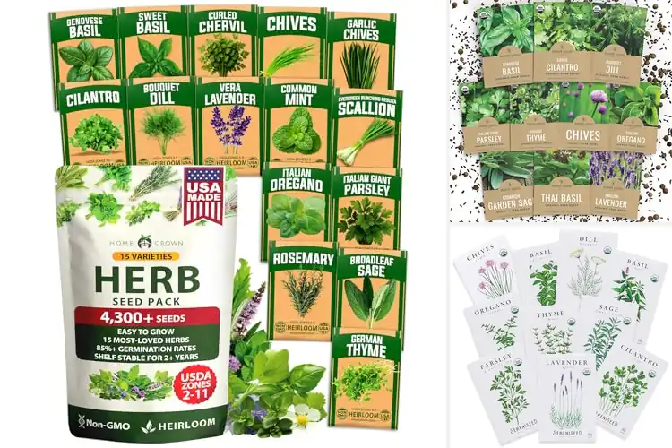 Detailed view of Best Indoor Herb Seeds: 10 Top Picks for Fresh Herbs at Home