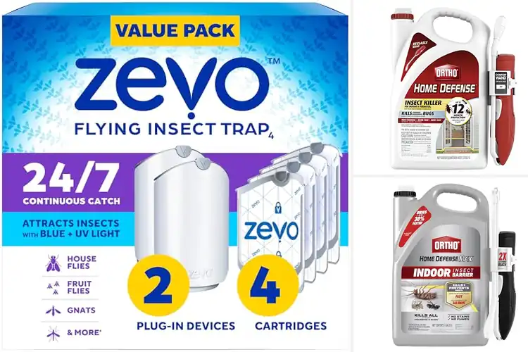 Detailed view of Best Indoor Insect Killers