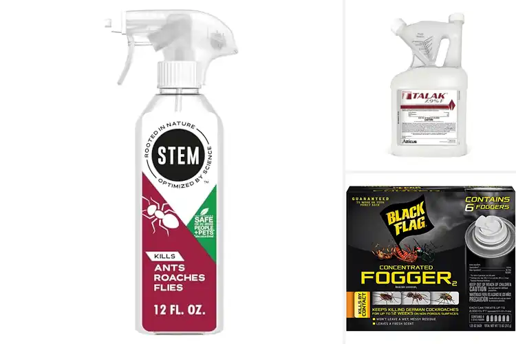 Detailed view of Best Indoor Insecticides