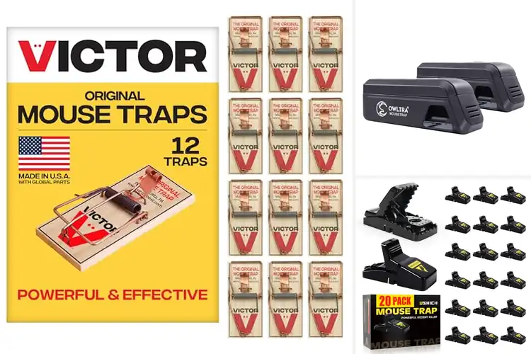 Detailed view of Best Indoor Mouse Traps