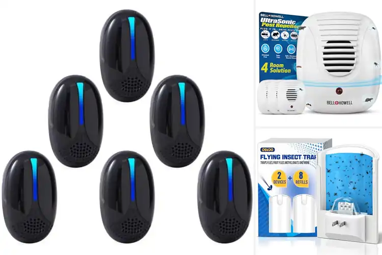 Detailed view of Best Indoor Pest Control Devices