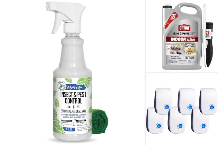 Detailed view of Best Indoor Pest Controls