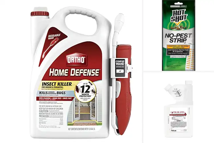 Detailed view of Best Indoor Pest Killer: Top Solutions for a Bug-Free Home