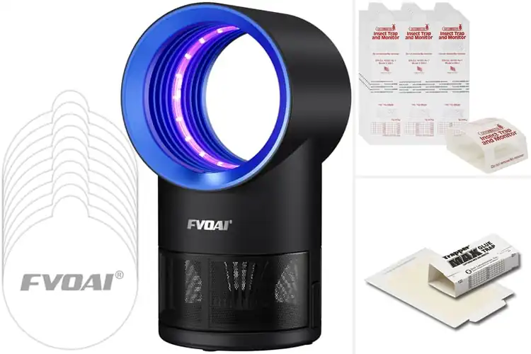 Detailed view of Best Indoor Pest Traps