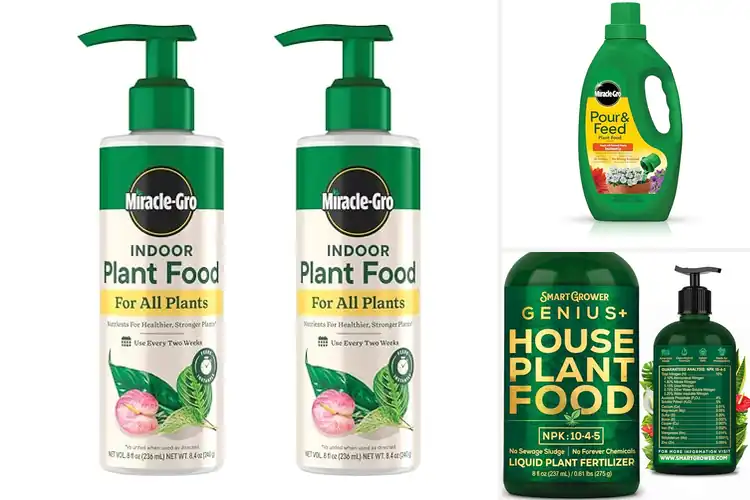 Detailed view of Best Indoor Plant Fertilizer For All Plants