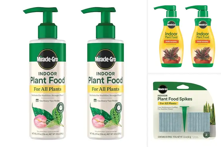 Detailed view of Best Indoor Plant Fertilizers