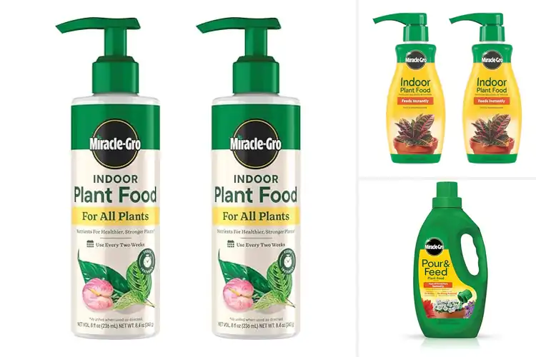 Detailed view of Best Indoor Plant Foods: Top 10 Picks for a Thriving Garden