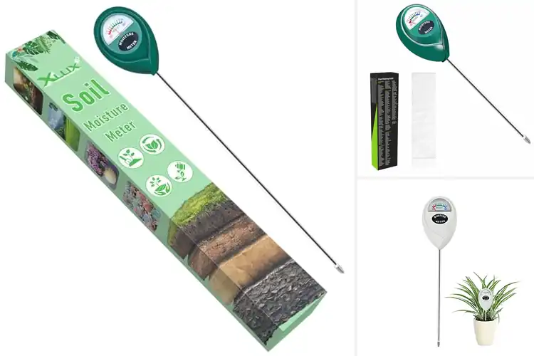 Detailed view of Best Indoor Plant Moisture Meters