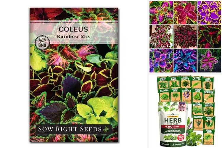 Detailed view of Best Indoor Plant Seeds