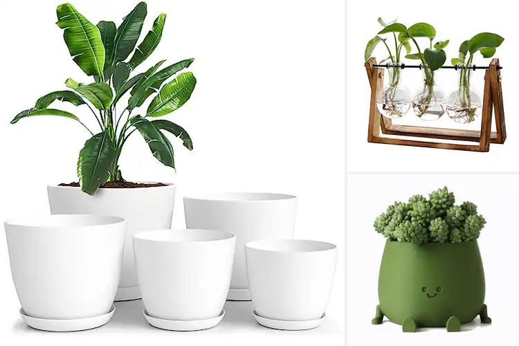 Detailed view of Best Indoor Planters For Office
