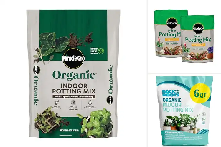 Detailed view of Best Indoor Potting Mixes: Top Picks for Healthier Plants