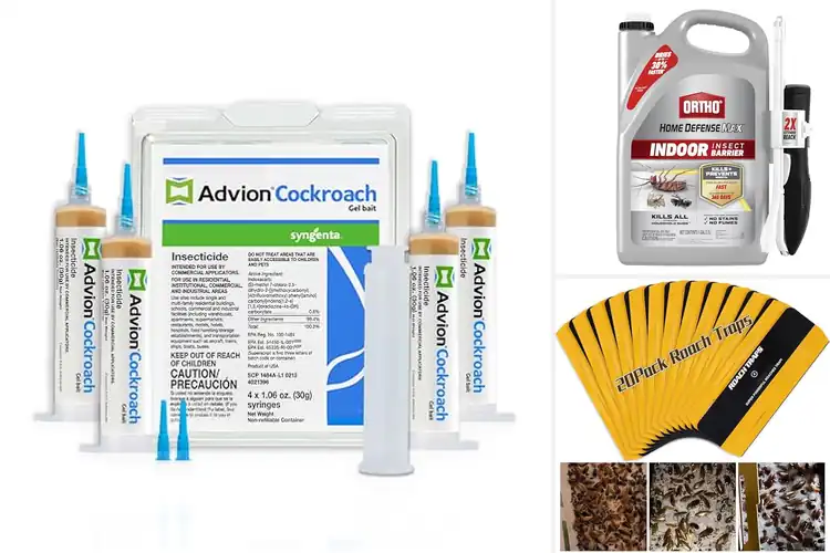Detailed view of Best Indoor Roach Controls
